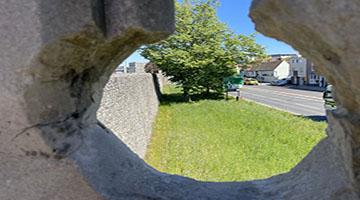 Photo of a wildflower meadow next to a wall and main road